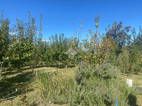 terreno agricolo in vendita a Savignano sul Rubicone
