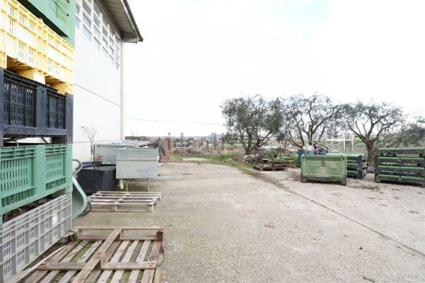 ufficio in vendita a Savignano sul Rubicone