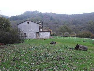 azienda agricola in vendita a Sogliano al Rubicone in zona Strigara