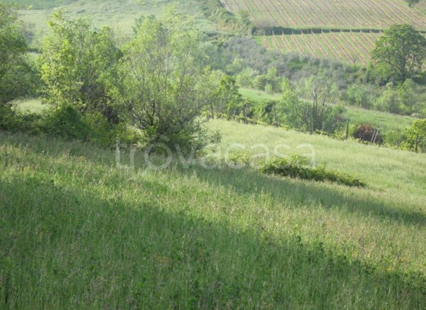 terreno agricolo in vendita a Sogliano al Rubicone