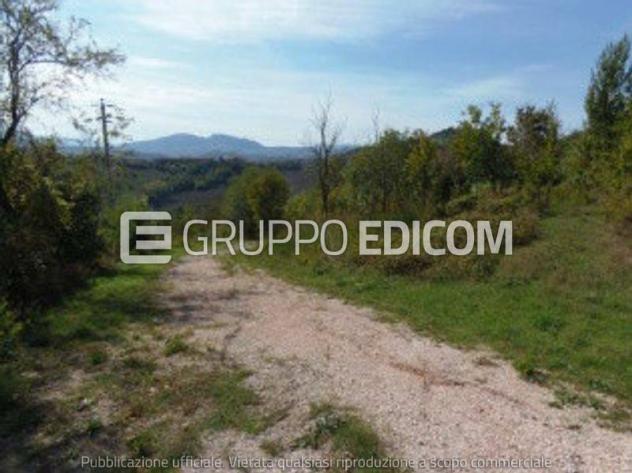 terreno edificabile in vendita a Sogliano al Rubicone