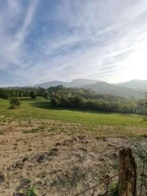 terreno agricolo in vendita a Sogliano al Rubicone