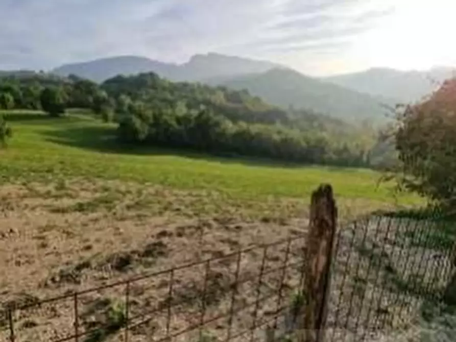 terreno agricolo in vendita a Sogliano al Rubicone