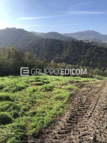 casale in vendita a Sogliano al Rubicone