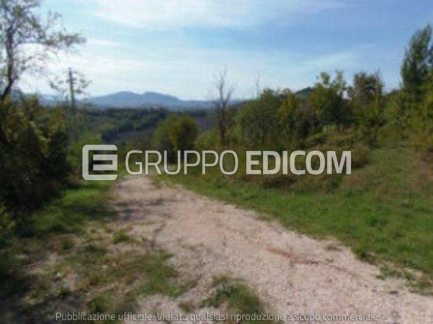 terreno edificabile in vendita a Sogliano al Rubicone