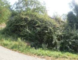 appartamento in vendita a Sogliano al Rubicone in zona Montetiffi
