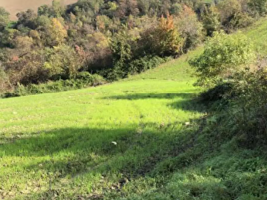 casale in vendita a Sogliano al Rubicone