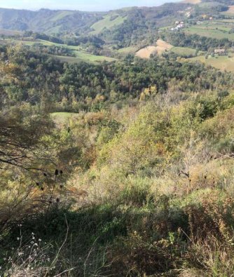 casale in vendita a Sogliano al Rubicone