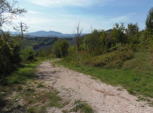 terreno edificabile in vendita a Sogliano al Rubicone