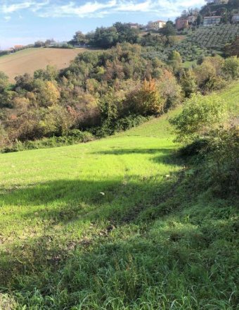 casale in vendita a Sogliano al Rubicone