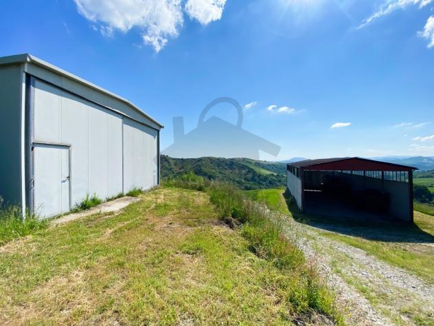 terreno agricolo in vendita a Sogliano al Rubicone in zona Montegelli