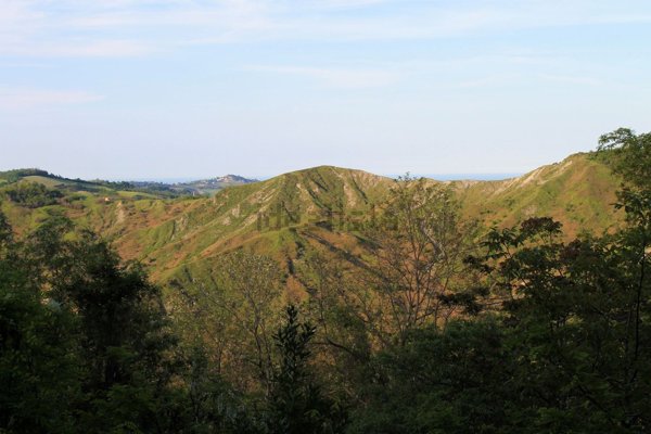 terreno agricolo in vendita a Sogliano al Rubicone