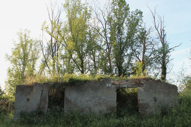 casa indipendente in vendita a Sogliano al Rubicone