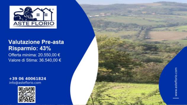 casale in vendita a Sogliano al Rubicone