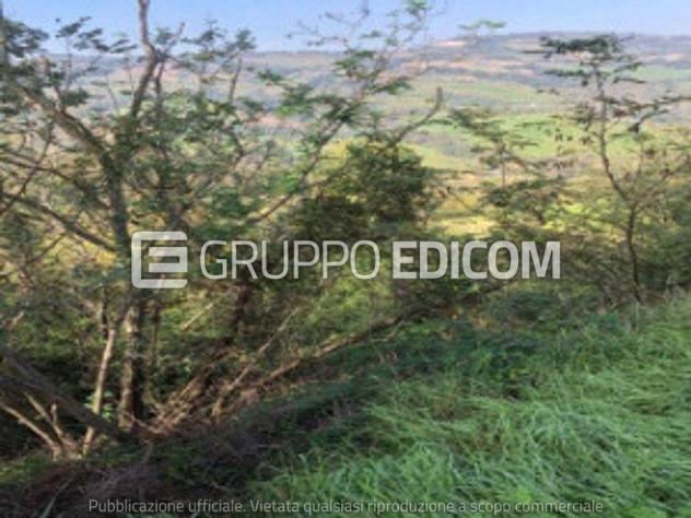 casale in vendita a Sogliano al Rubicone