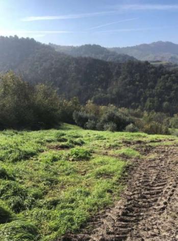 casale in vendita a Sogliano al Rubicone