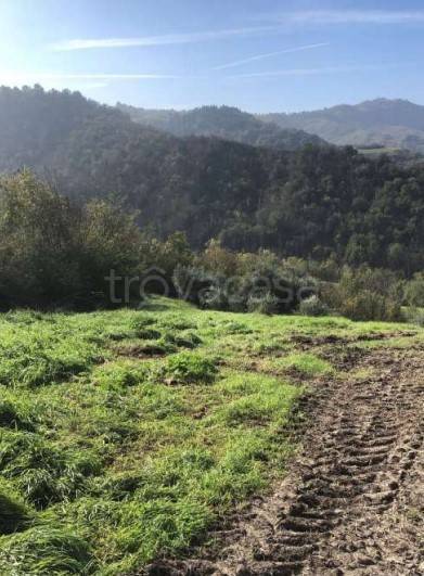 appartamento in vendita a Sogliano al Rubicone