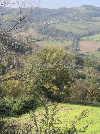 appartamento in vendita a Sogliano al Rubicone