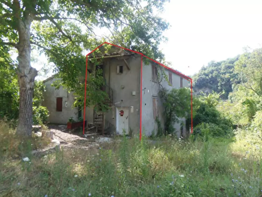 immagine annuncio 0 di 1