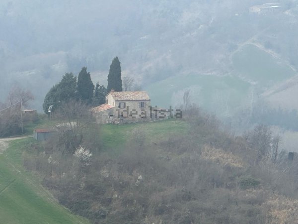quadrivano in vendita a Sogliano al Rubicone