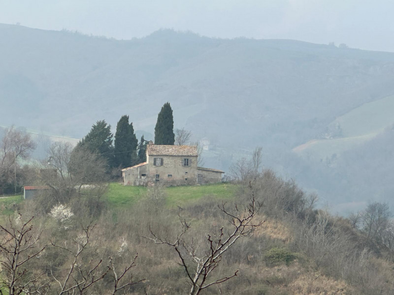 casa indipendente in vendita a Sogliano al Rubicone in zona Vignola