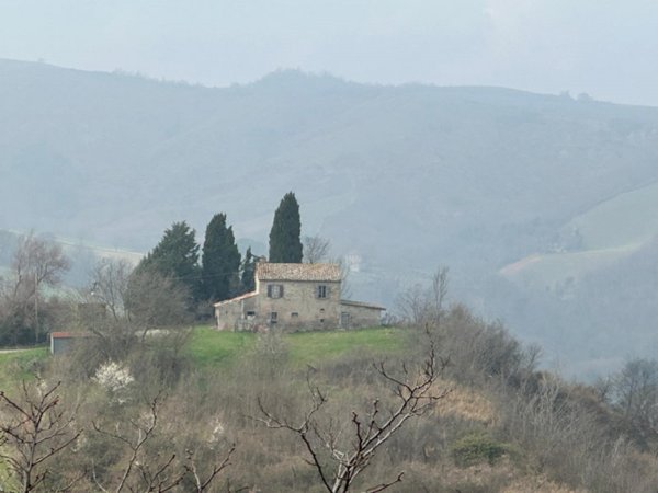 casale in vendita a Sogliano al Rubicone in zona Vignola