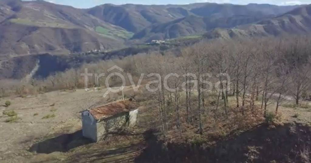 casa indipendente in vendita a Verghereto in zona Alfero