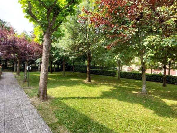 casa indipendente in vendita a Verghereto in zona Riofreddo