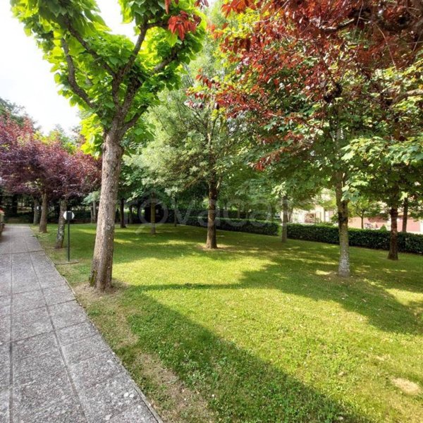 casa indipendente in vendita a Verghereto in zona Alfero