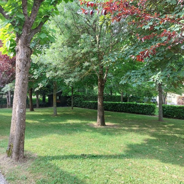 casa indipendente in vendita a Verghereto in zona Alfero