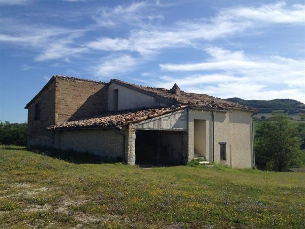 esavano in vendita ad Acqualagna