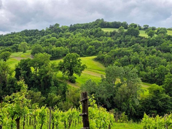 terreno agricolo in vendita ad Acqualagna in zona Pelingo