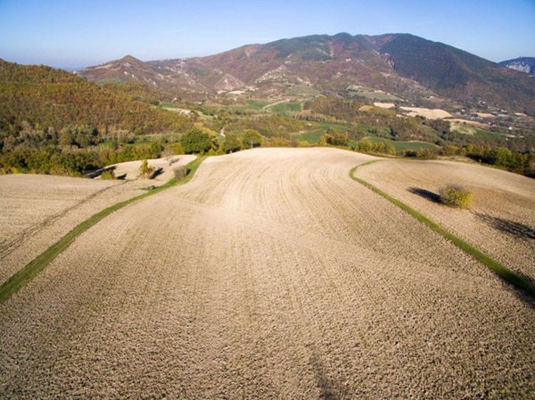 terreno agricolo in vendita ad Acqualagna in zona Case nuove