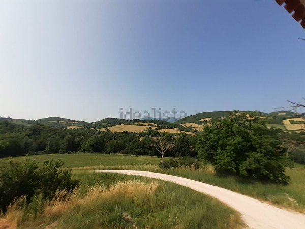 esavano in vendita ad Acqualagna