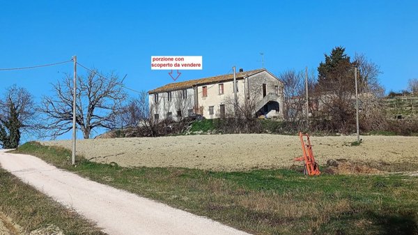 esavano in vendita ad Acqualagna