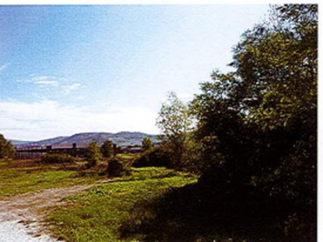 terreno agricolo in vendita ad Acqualagna in zona Bellaria