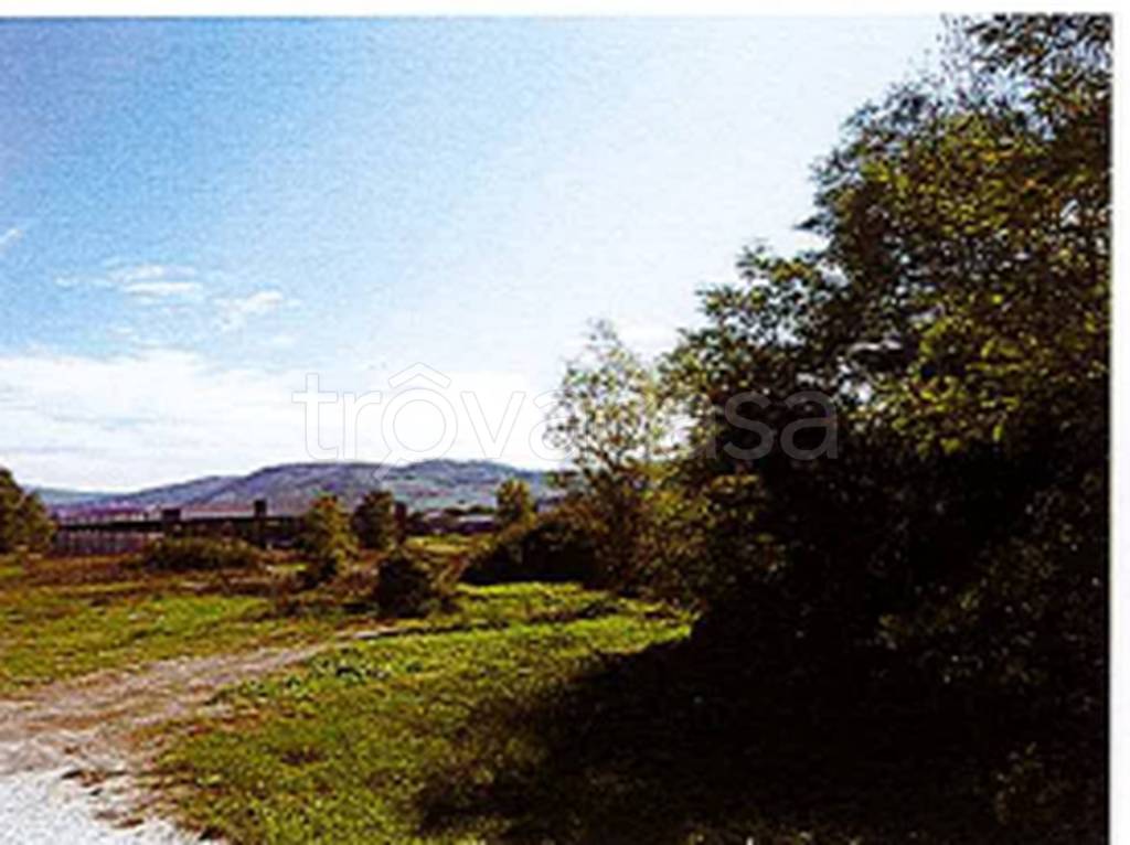 terreno agricolo in vendita ad Acqualagna in zona Bellaria