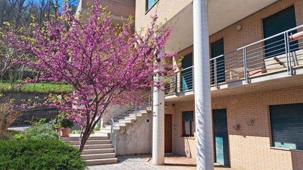 appartamento in vendita ad Acqualagna in zona Case nuove