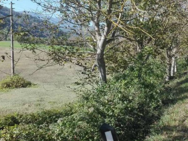terreno agricolo in vendita ad Acqualagna in zona Petriccio