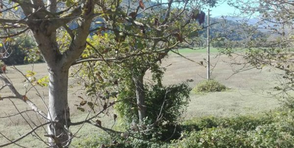 terreno agricolo in vendita ad Acqualagna in zona Petriccio