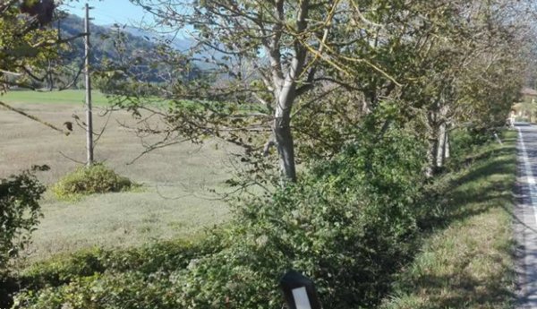 terreno agricolo in vendita ad Acqualagna in zona Petriccio