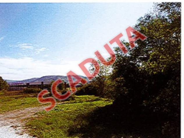 terreno agricolo in vendita ad Acqualagna in zona Bellaria
