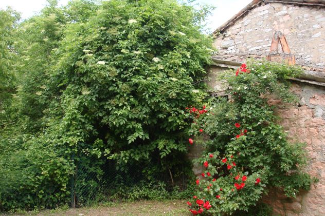 casa indipendente in vendita ad Acqualagna