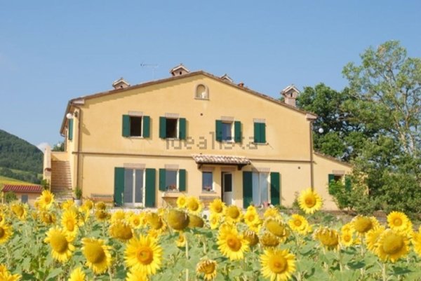casale in vendita ad Acqualagna in zona Case nuove