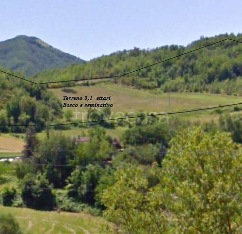 terreno agricolo in vendita ad Acqualagna in zona Bellaria