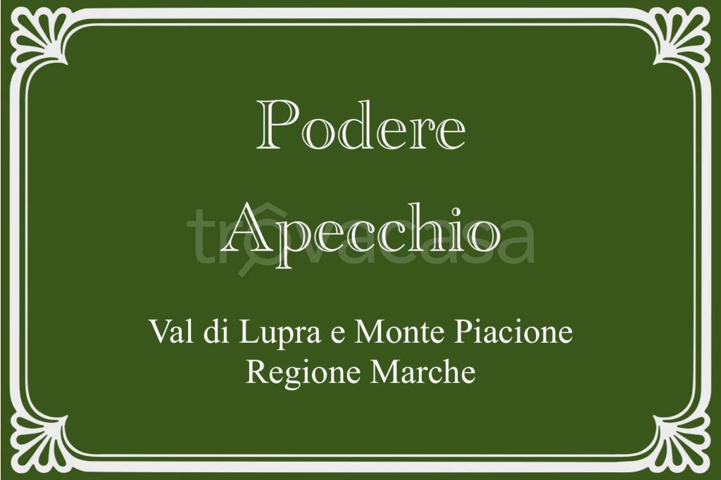 casa indipendente in vendita ad Apecchio