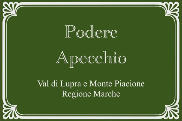 casa indipendente in vendita ad Apecchio