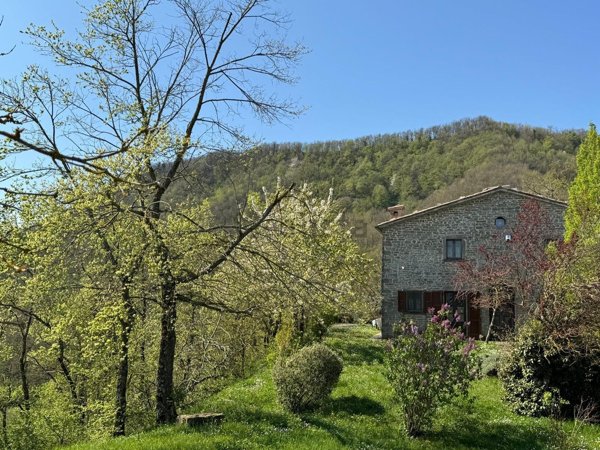 casale in vendita ad Apecchio