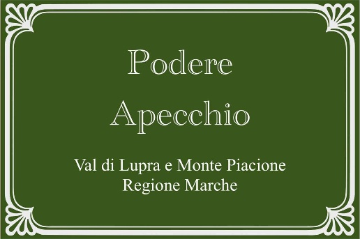 casa indipendente in vendita ad Apecchio in zona Osteria nuova