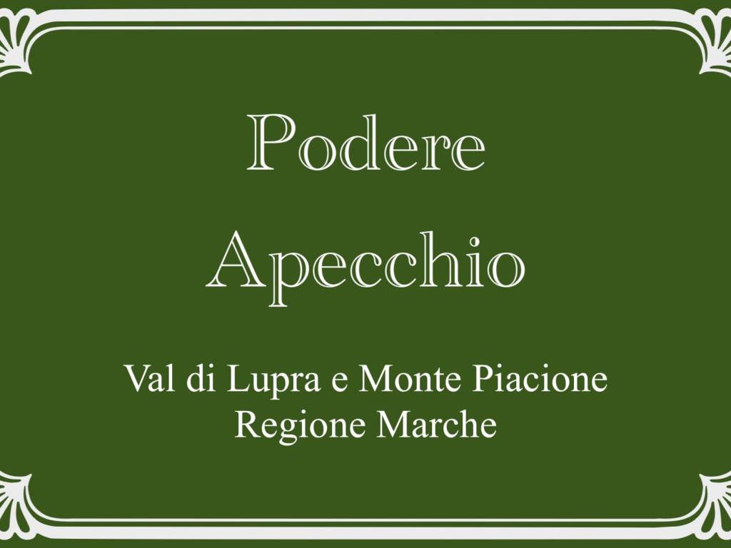 casa indipendente in vendita ad Apecchio
